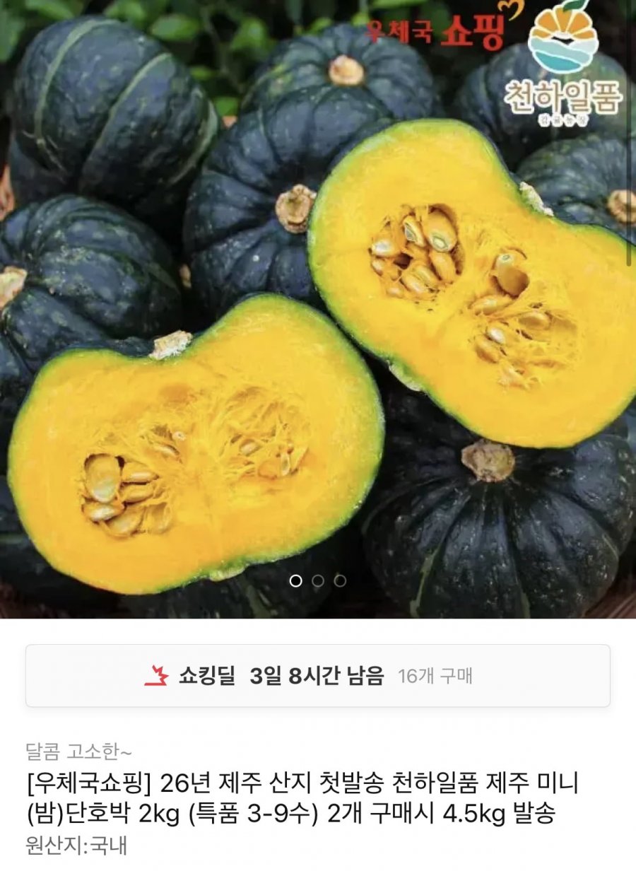 제주 산지 첫발송 미니 단호박 2kg (9,500원/무료)