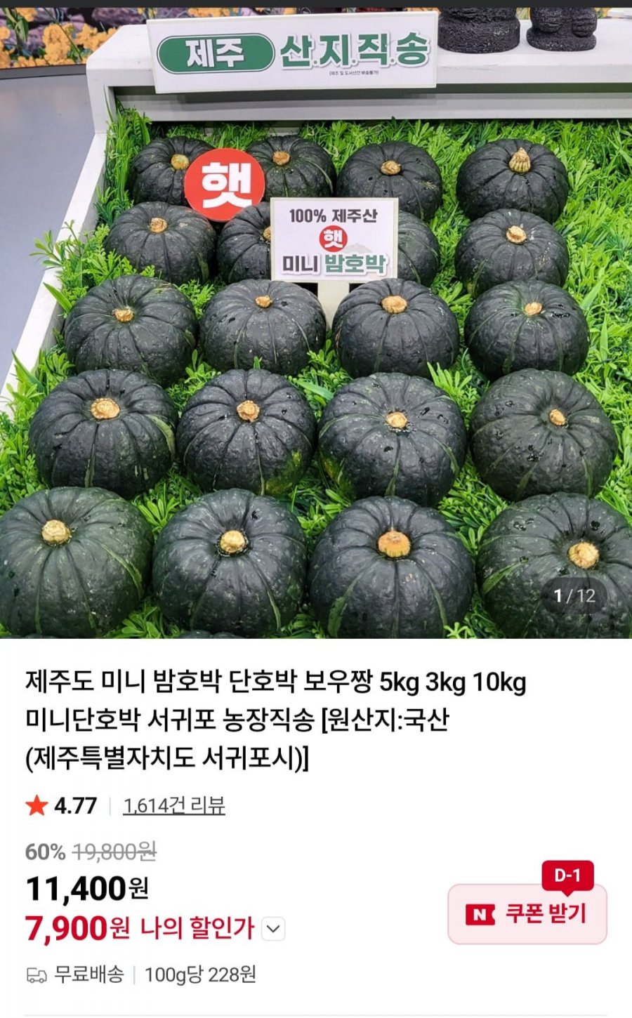 제주도 미니 밤호박 2kg (7,900원/무료)