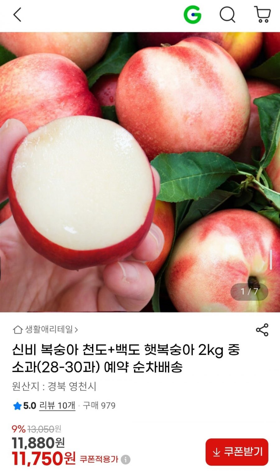 신비 복숭아 천도+백도 햇복숭아 2kg 중소과(28-30과) (11,750원/무료)