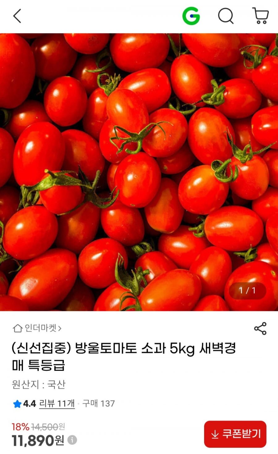 방울토마토 소과 5kg 새벽경매 특등급 (11,890원/무료)