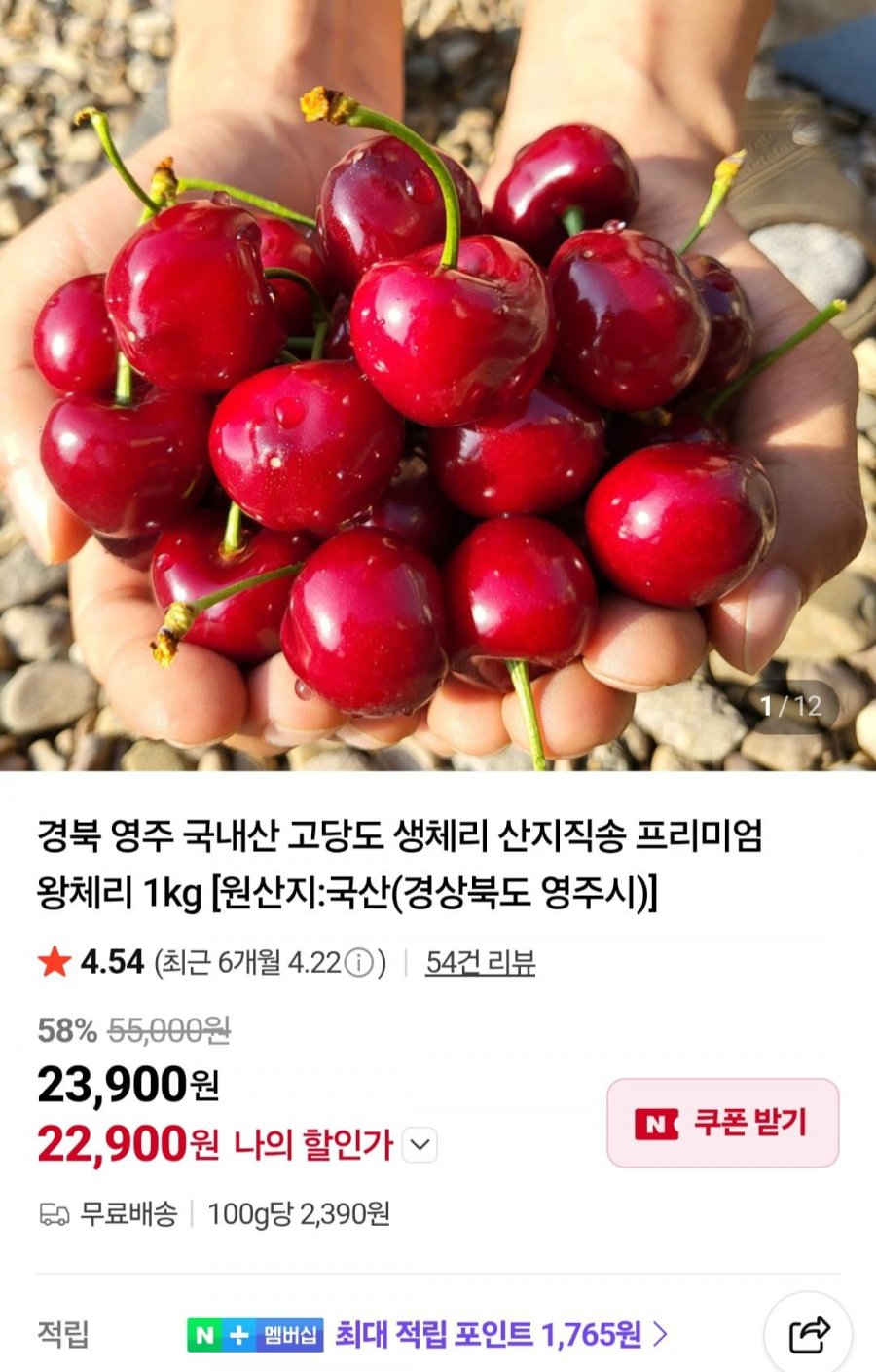 국내산 고당도 생체리 1kg (22,900원/무료)