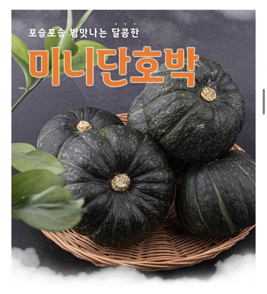제주 미니단호박 특품 1kg (7,940원/무료)