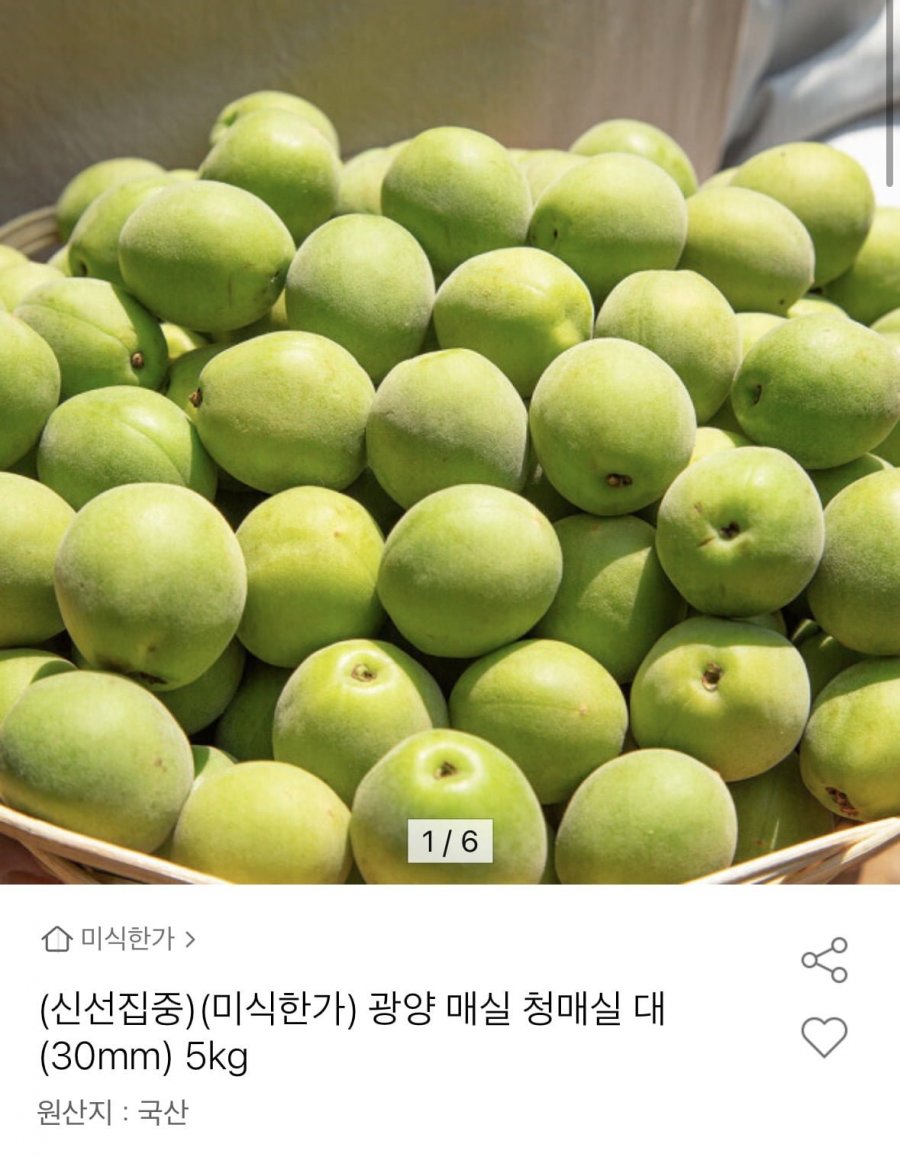 매실 대 사이즈(30mm) 5kg  (15,100원/무료)