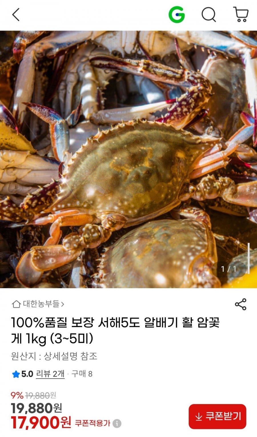 국내산 100% 알배기 활 암꽃게 500g+500g(총 1kg) 3-5미 (중사이즈) (17,900원/무료)