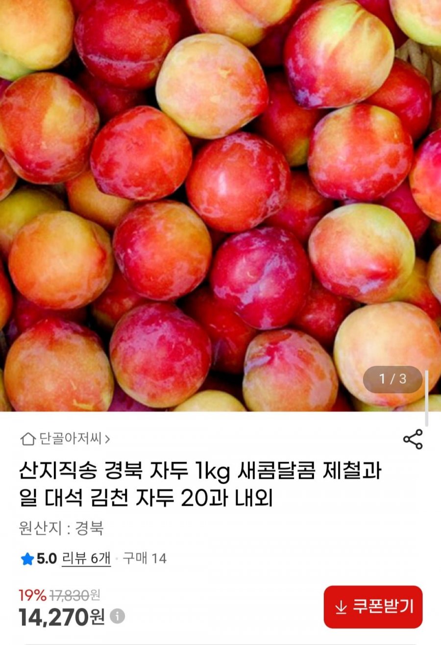산지직송 경북 자두 1kg 20과 내외 (14,270원/무료)