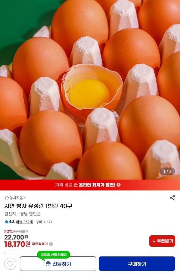 자연 방사 유정란 1번란 40구 (18,170원/무료)