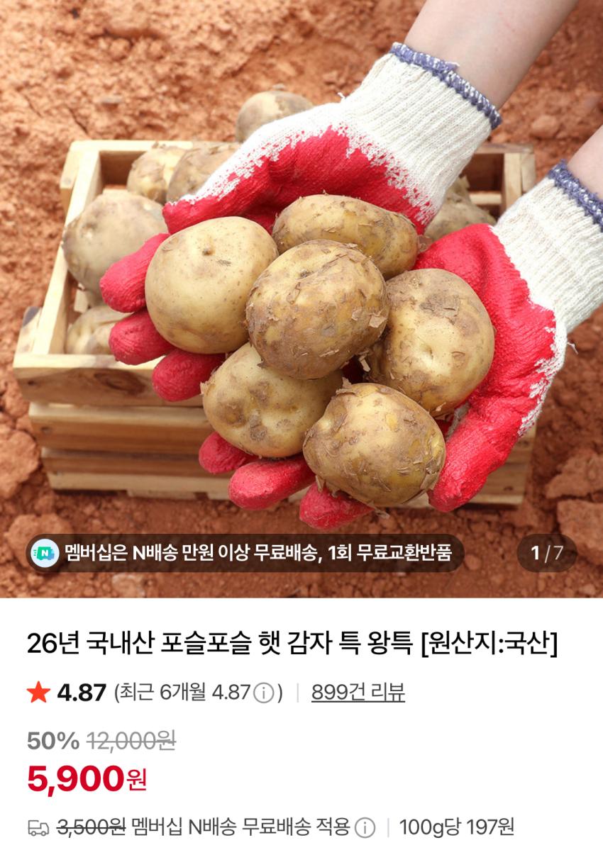국내산 햇 감자 왕특 3kg 5,900원