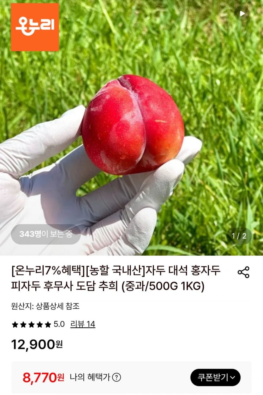 대석 홍자두 중과 500G (8,770원/3,000원)
