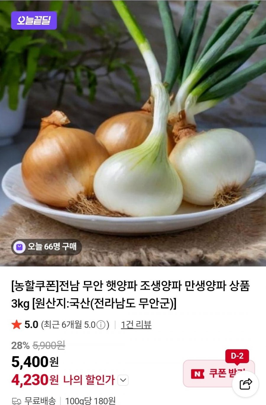 전남 무안 햇양파 조생양파 만생양파 상품 3kg (4,230원/무료)