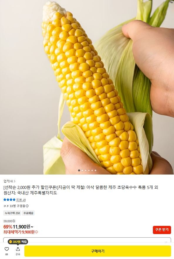 제주 초당옥수수 15cm이상 틈품 5개 (9,900원/무료)