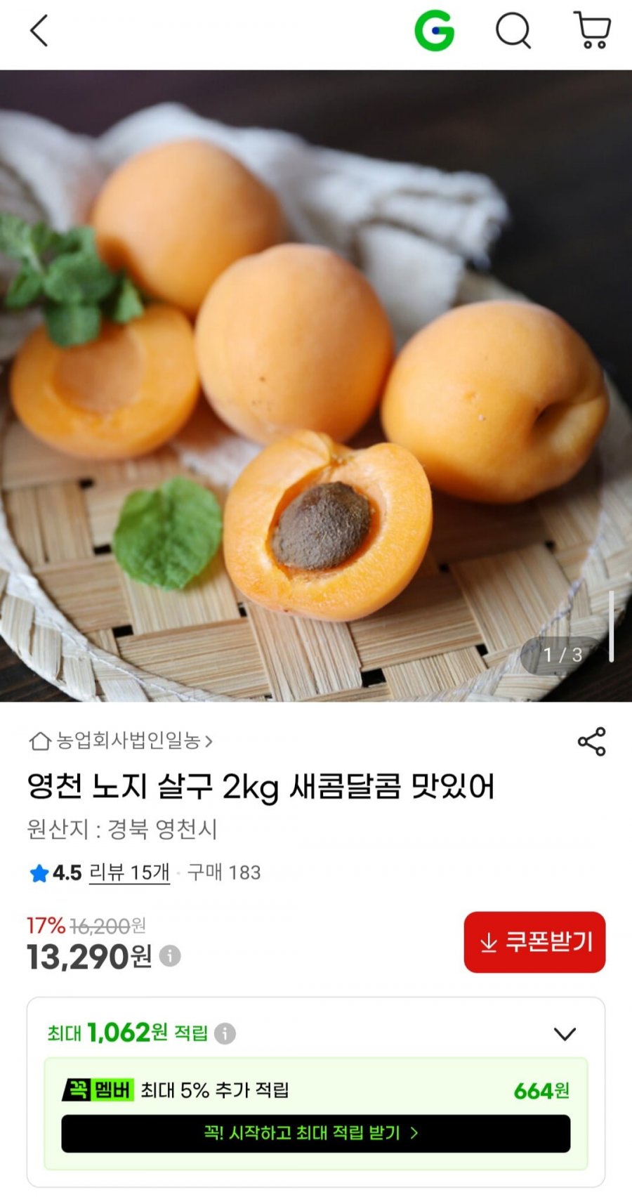 영천 노지 살구 2kg (13,290원/무배)