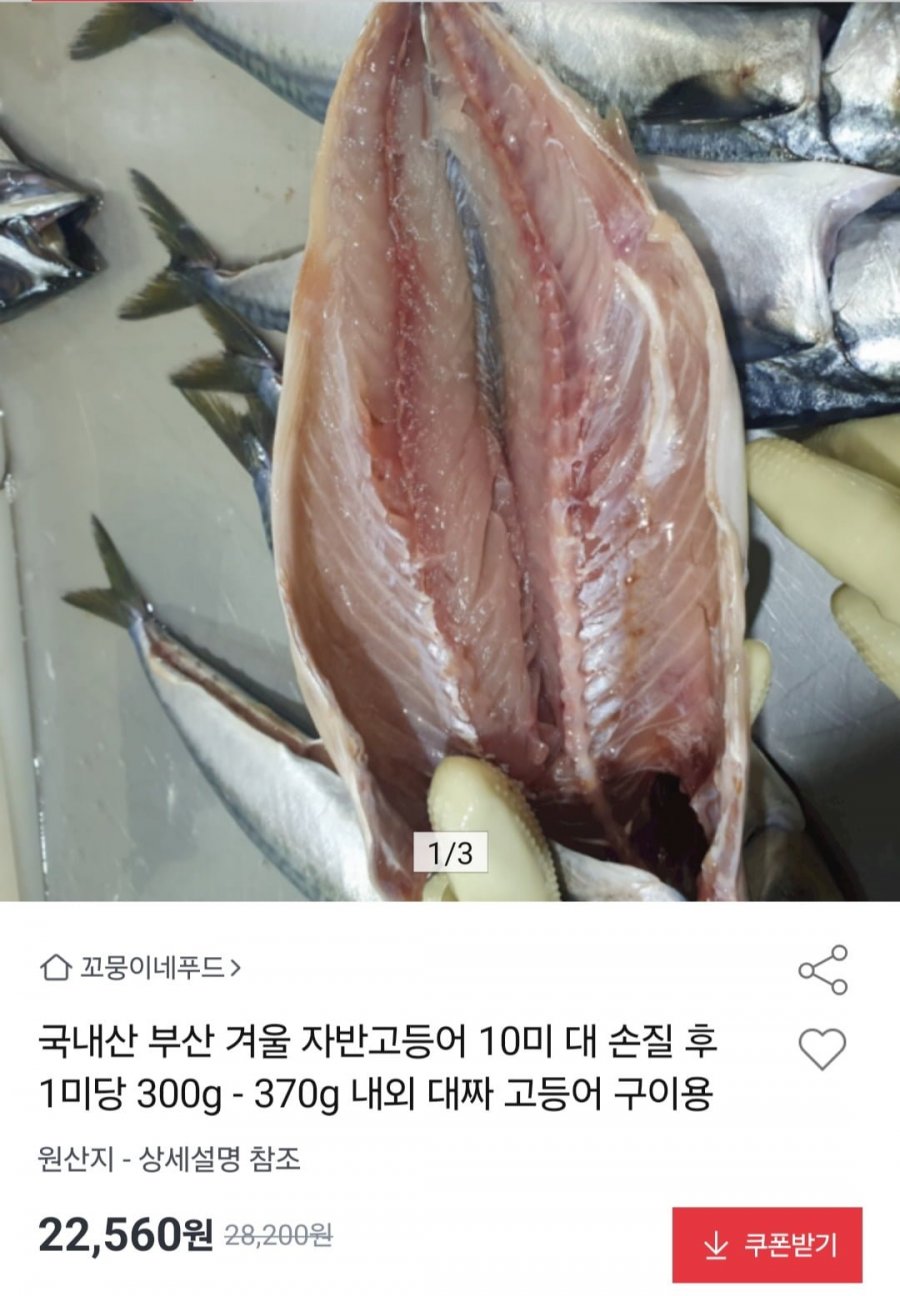 국내산 자반고등어 10미 대짜 구이용 (22,560원/무배)