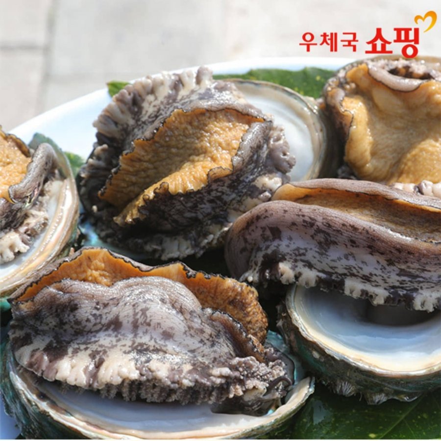 완도 특대활전복 1kg (9-11미) (20,900원/무료)