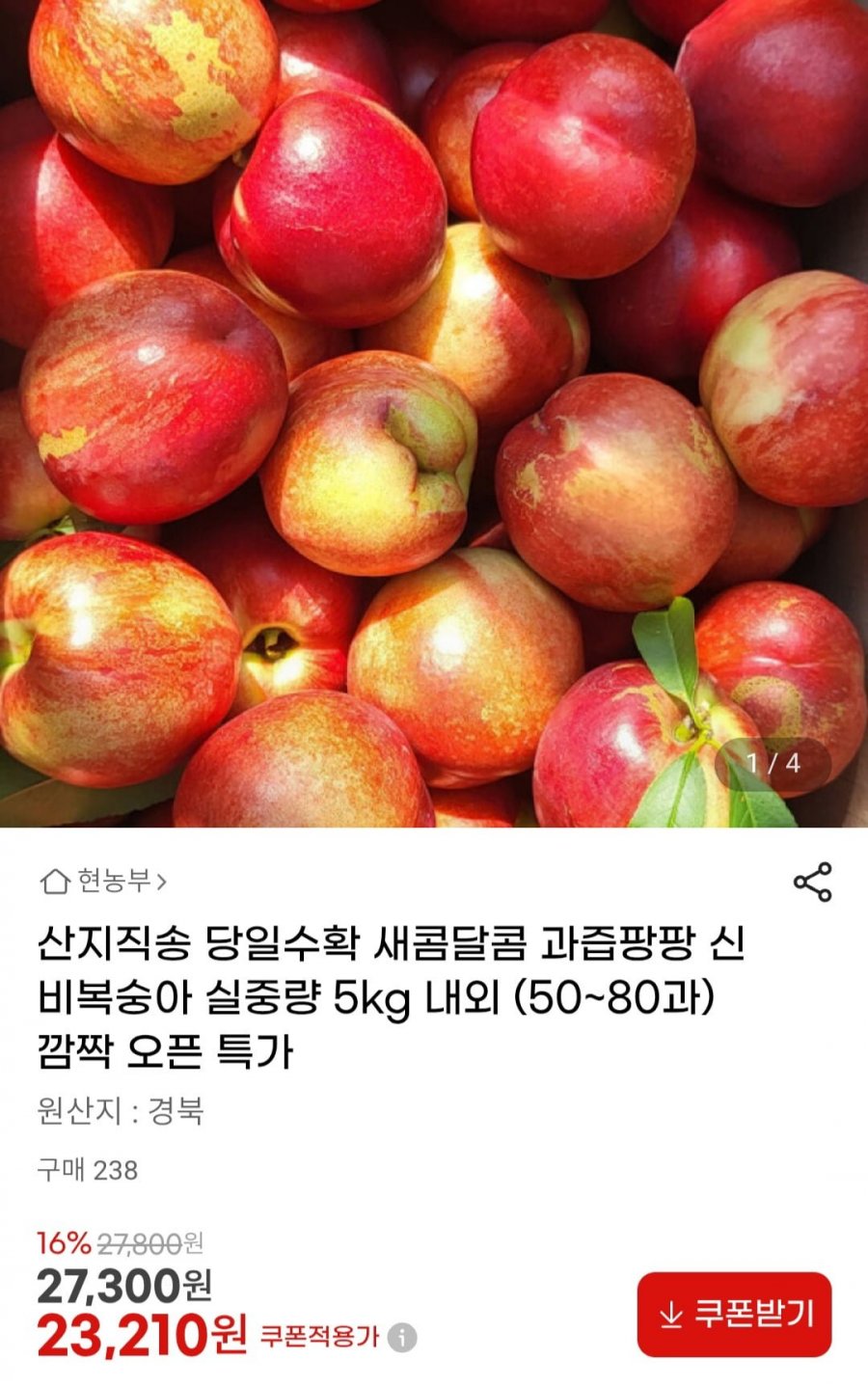 산지직송 당일수확 신비복숭아 실중량 5kg 내외 (50~80과) (23,210원/무배)