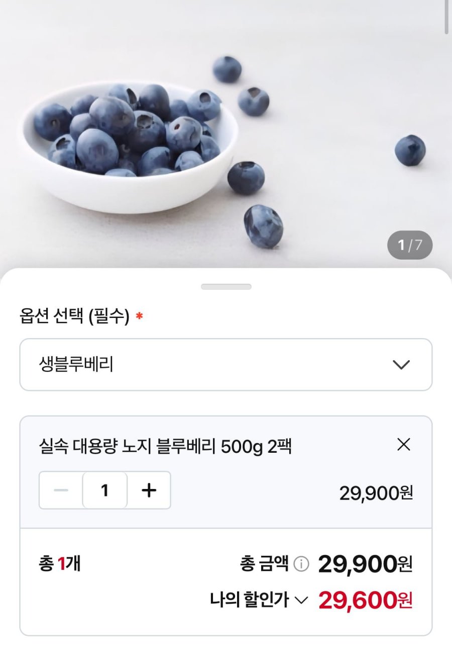 노지 블루베리 특 500g x 2팩 (29,600원/무료)
