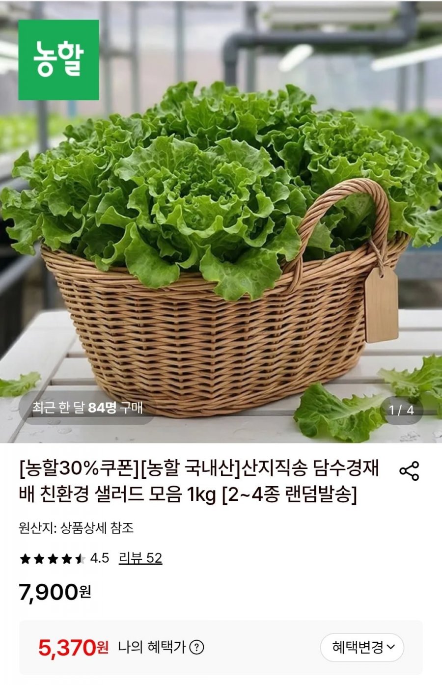 담수경재배 친환경 유러피안 샐러드1kg(2~4종랜덤) (5,370원/무료)