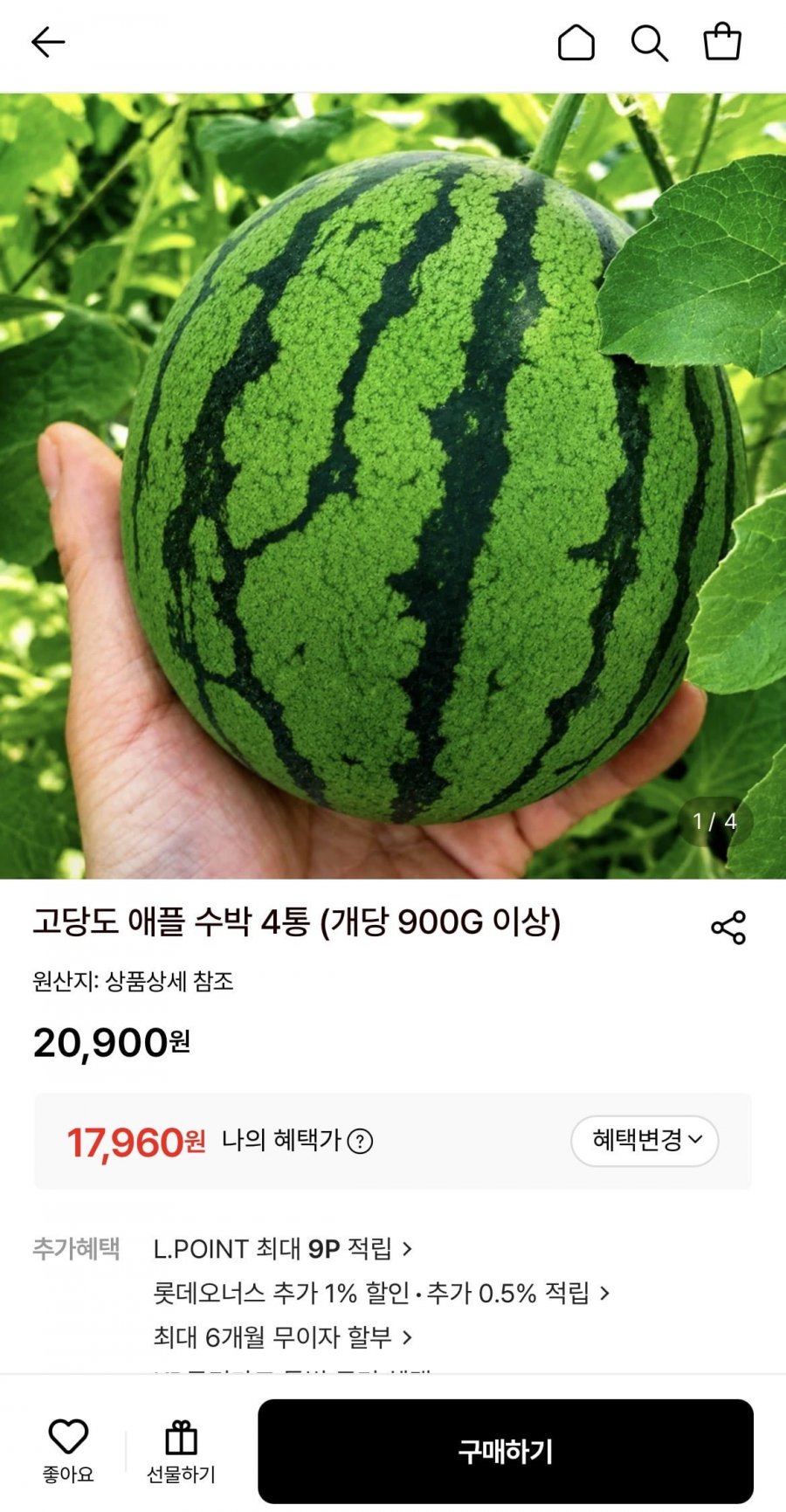 고당도 애플 수박 4통 (개당 900g이상) (17,960원/무료)