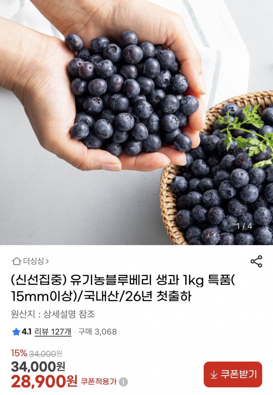국내산 유기농 블루베리 생과 1kg 특품 (28,900원/무료)