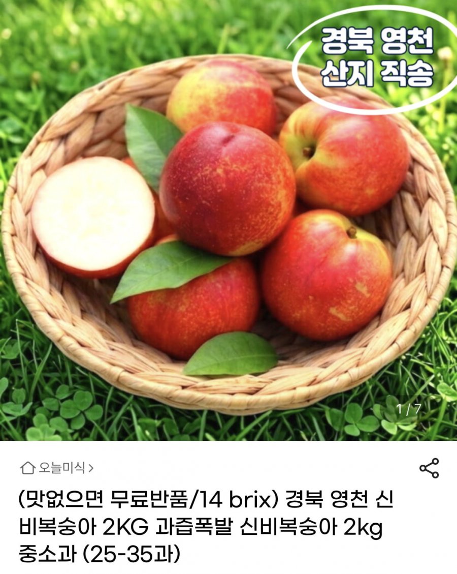 신비복숭아 중소과 2kg 25~35과 (13,980원/무료)