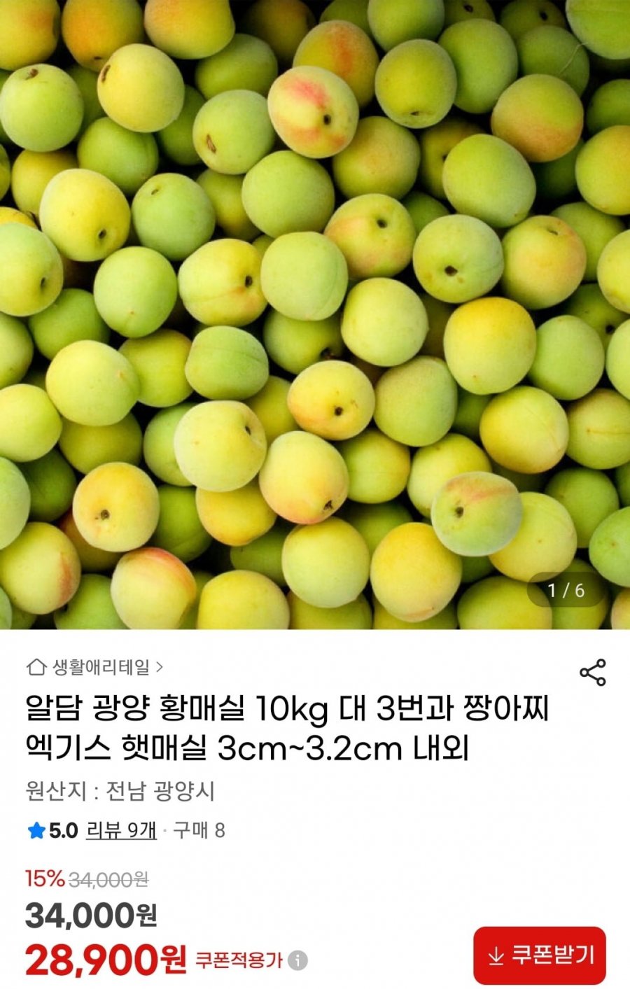 알담 광양 황매실 10kg 대 3번과 (28,900원/무료)