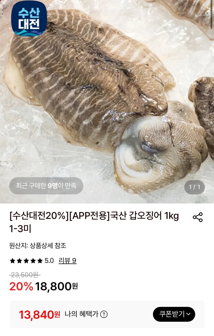 국산 갑오징어 1kg 1~3미 (13,840원/무료)