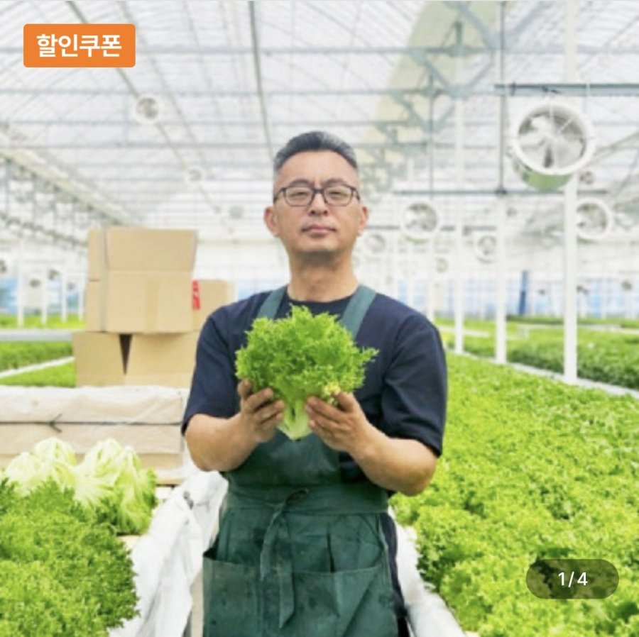 유러피안 샐러드 1kg (5,900원/무료)
