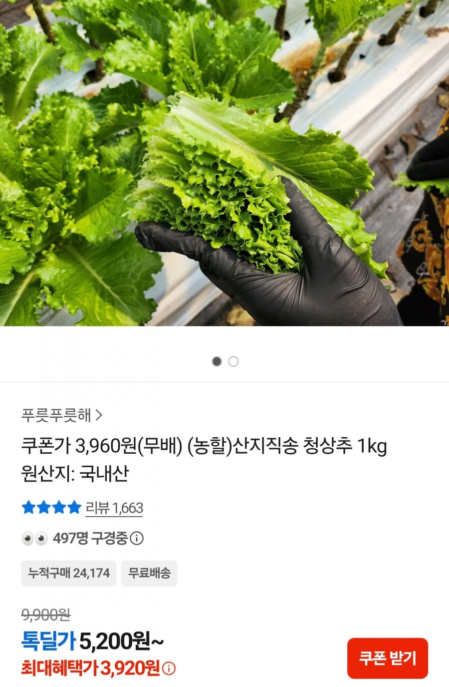 청상추 1kg (3,920원/무료)