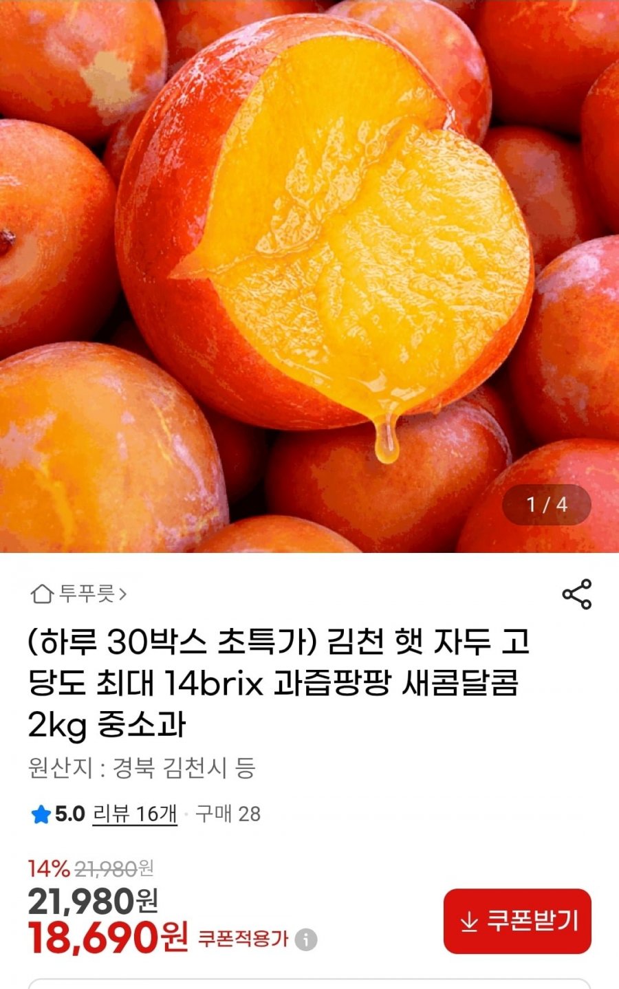 김천 햇 자두 고당도 2kg 중소과 70과 내외(18,690원/무배)