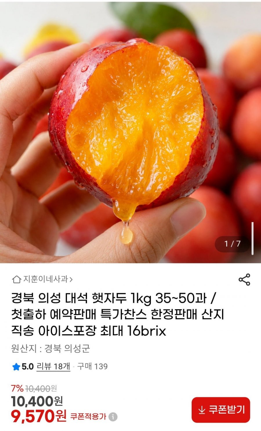 경북 의성 대석 햇자두 1kg 35~50과 (9,570원/무배)