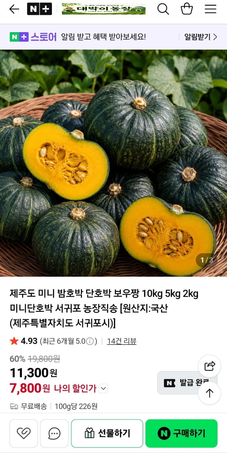 제주도 보우짱 미니 밤호박 로열과 2kg (7,800원/무료)