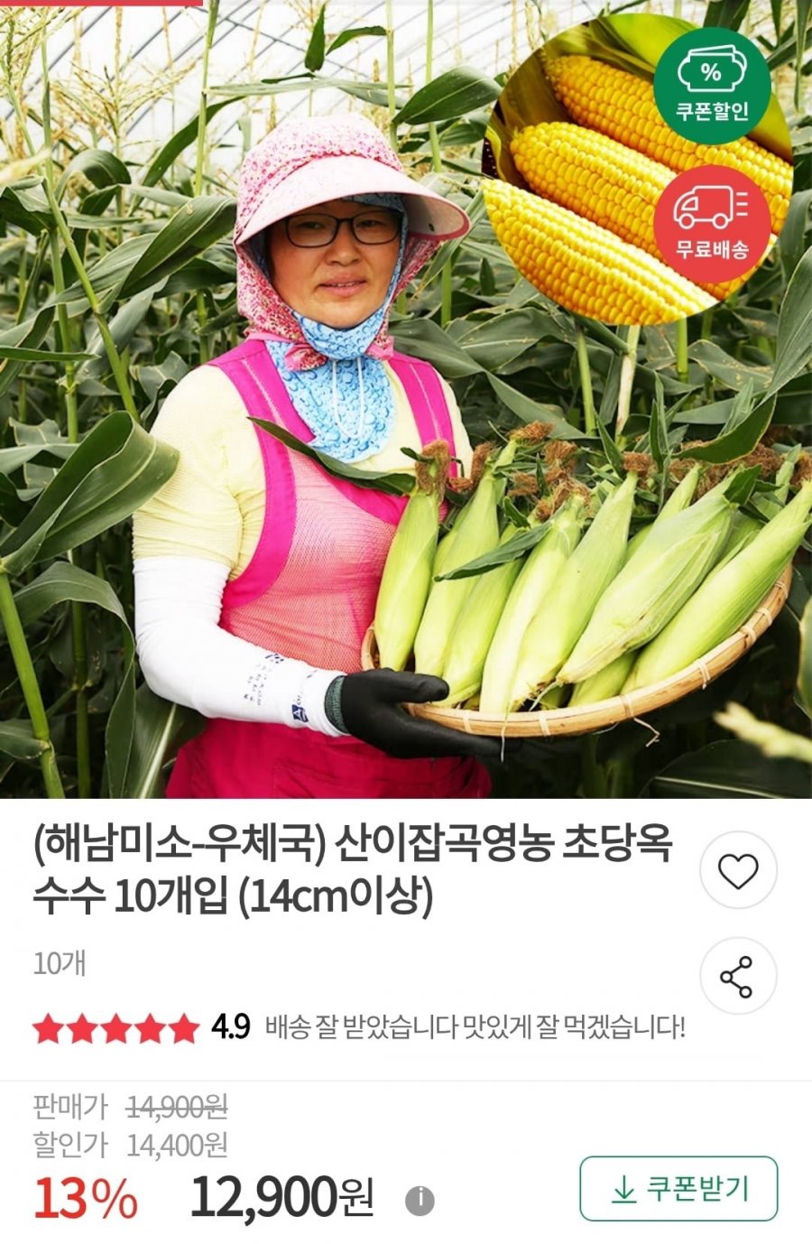 해남 초당옥수수 10개입 14cm이상 (12,900원/무료)