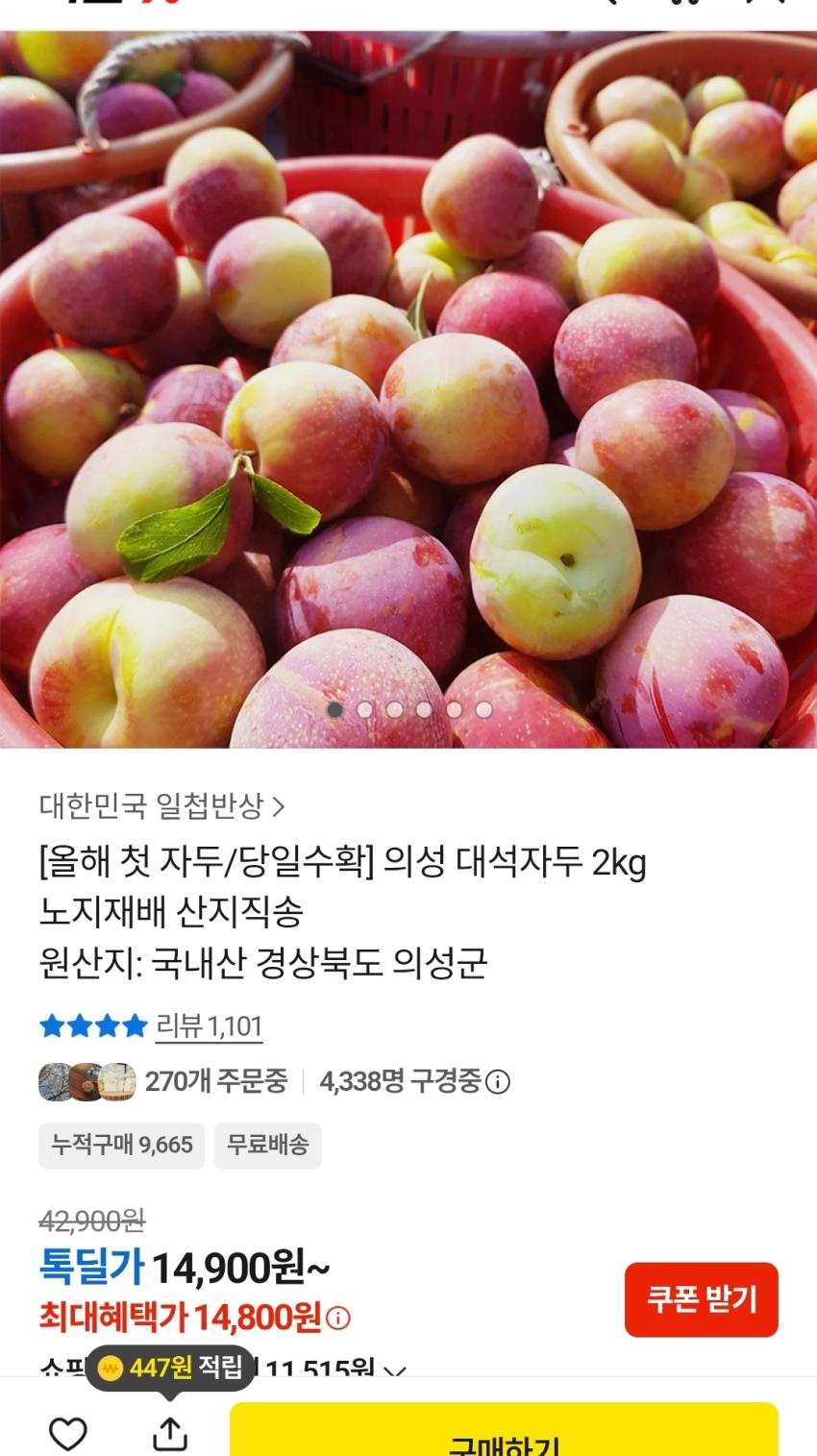 톡딜) 의성 대석자두 2kg 14,800원 무배