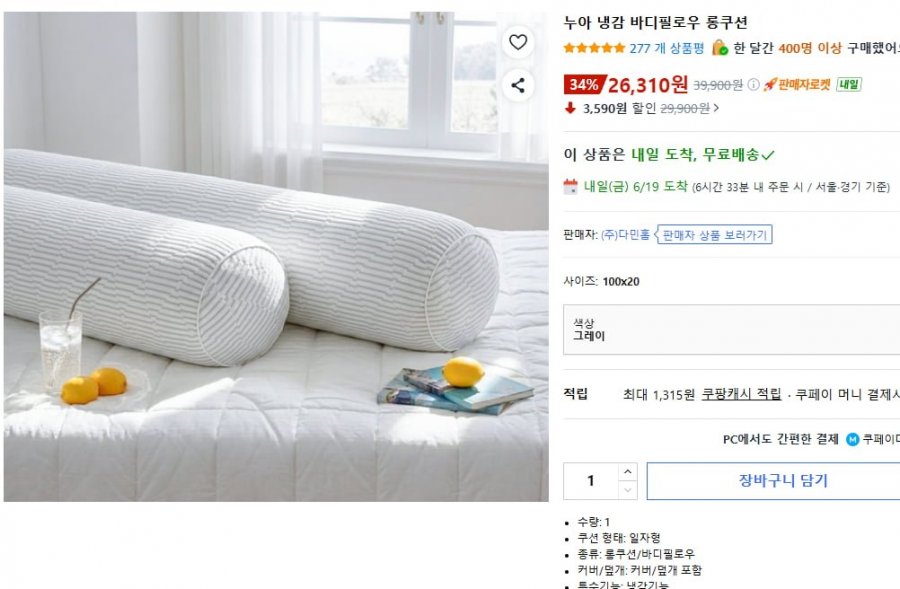 누아 냉감 바디필로우 롱쿠션 (26,310/무배)