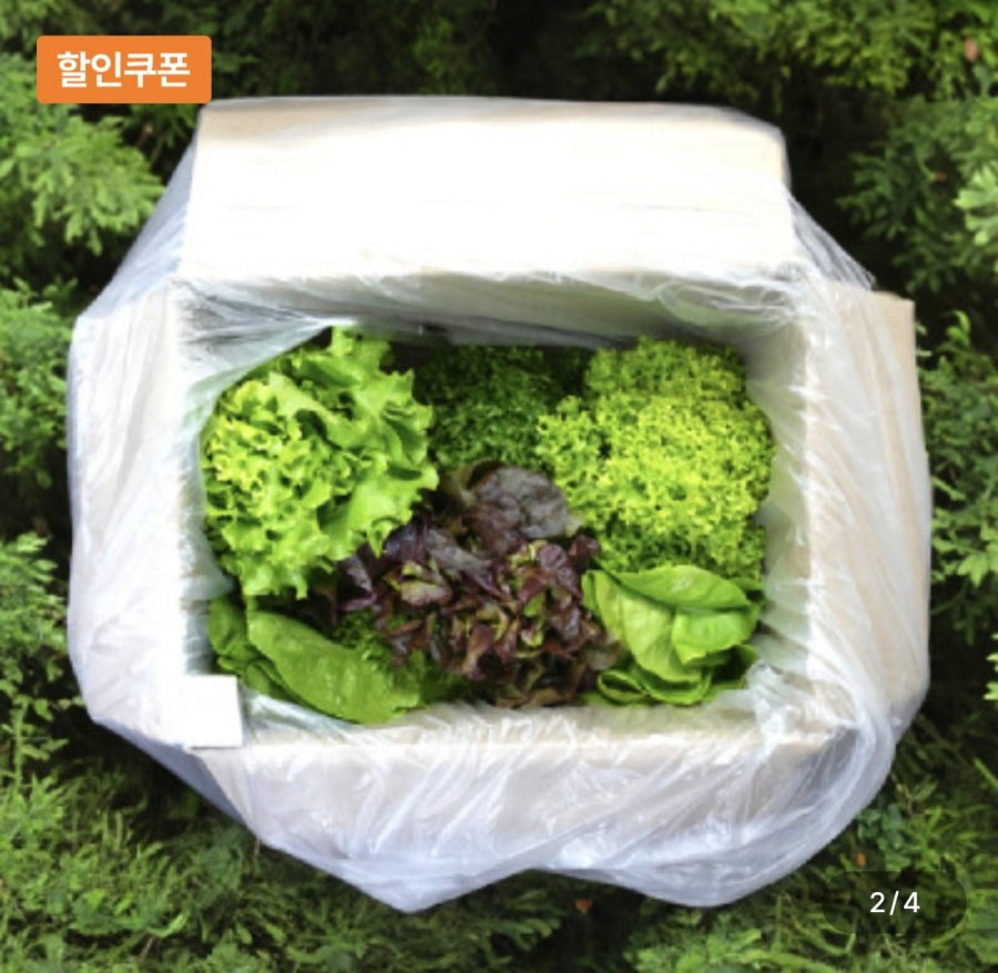 유러피안 샐러드 1kg (5,900원/무료)