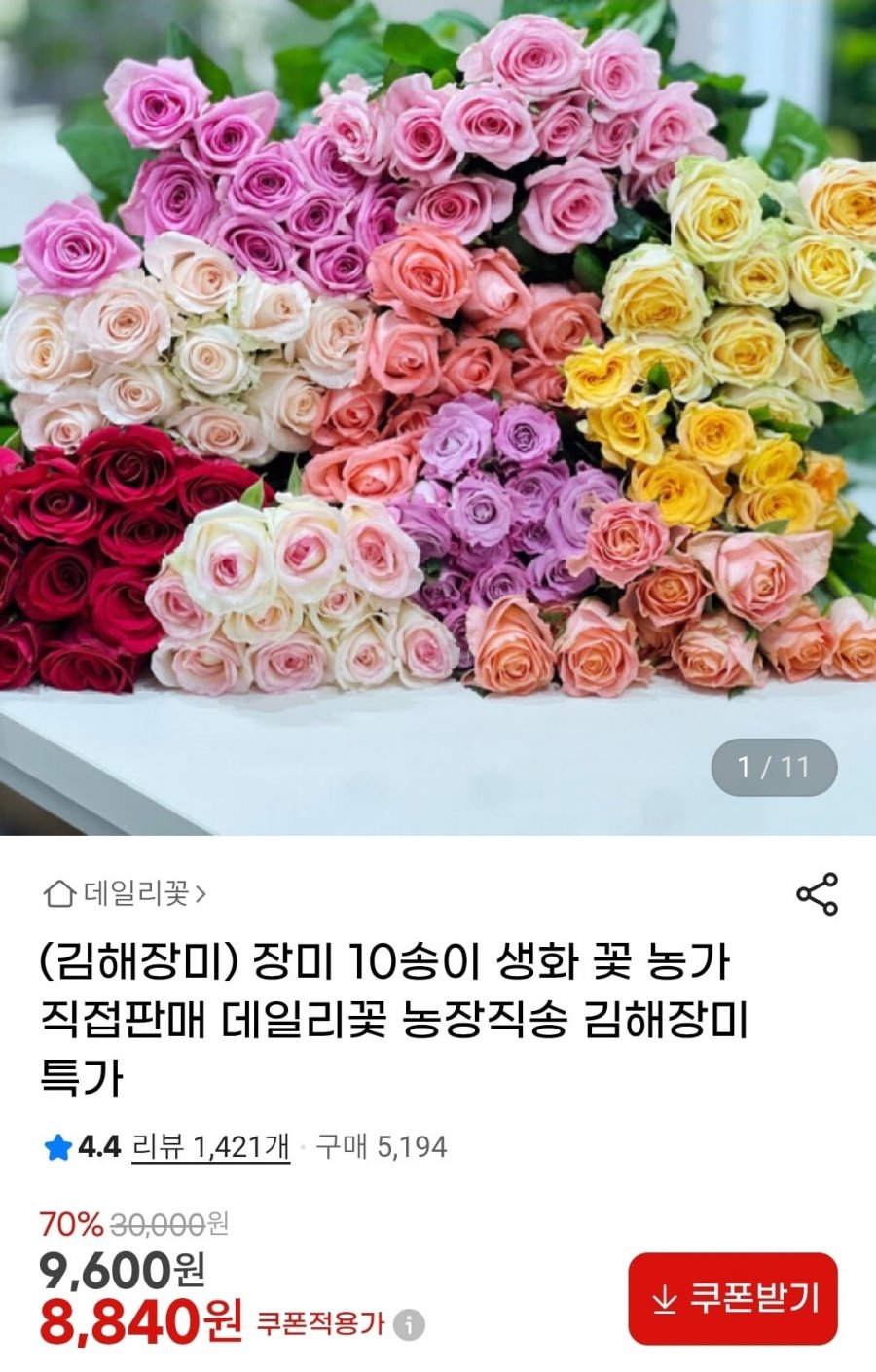 김해 장미 생화 농장 특가 10송이 (8,840원~/무배)
