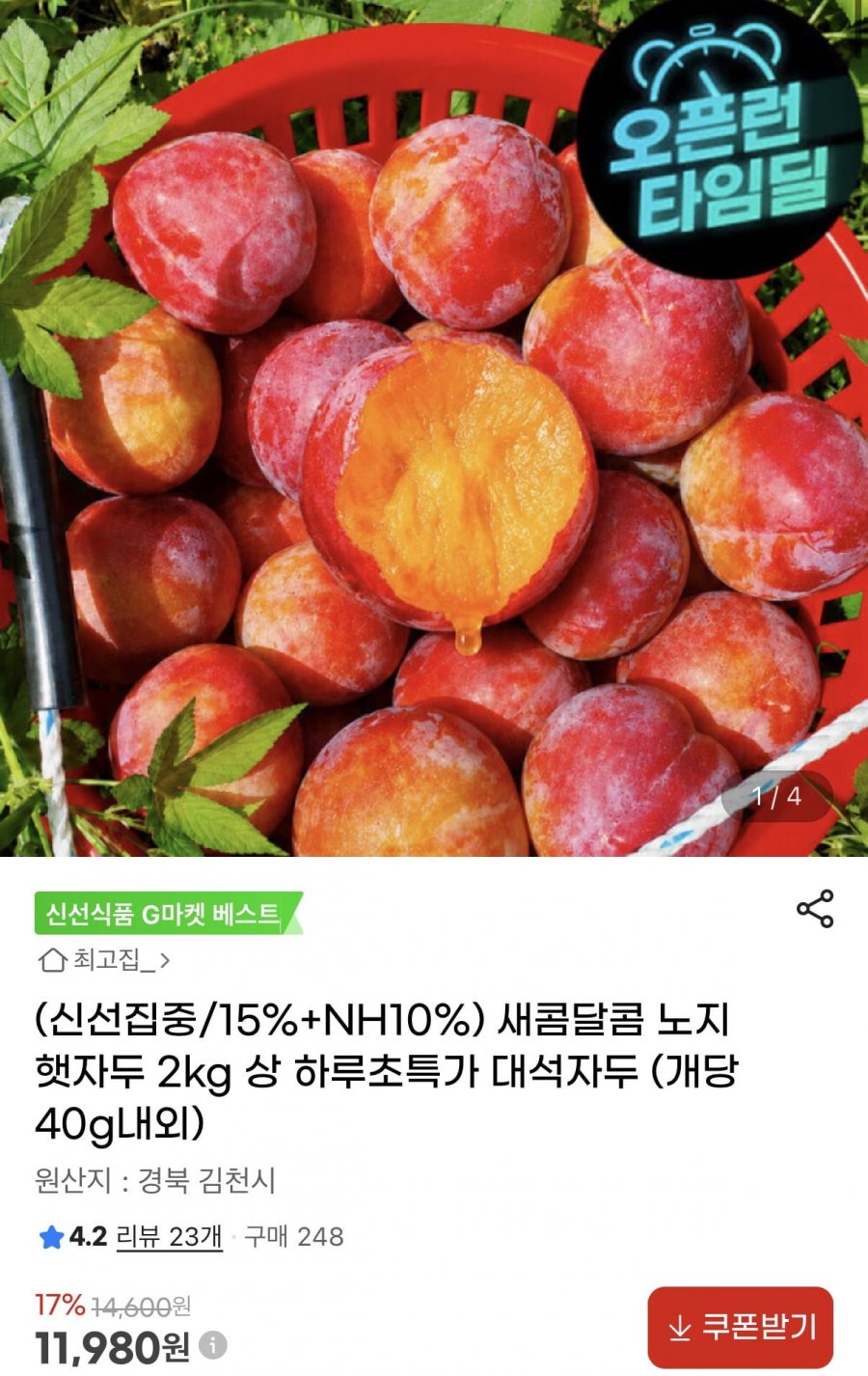 노지 햇자두 하루초특가 대석자두 2kg 상 (개당 40g내외) (11,980원/무료)