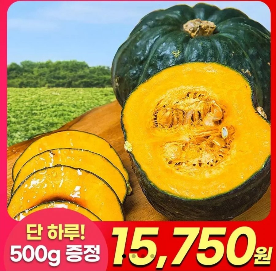 제주 햇 미니단호박 보우짱 2kg+2kg+500g 총 4.5kg (15,750원/무배)