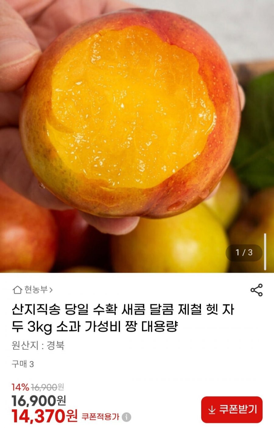 산지직송 당일수확 제철 햇 자두 3kg 소과 (14,370원/무료)