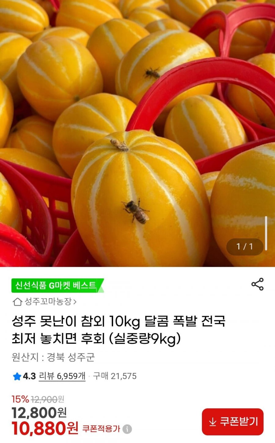 성주 못난이 참외 10kg (실중량9kg) (10,880원/무배)