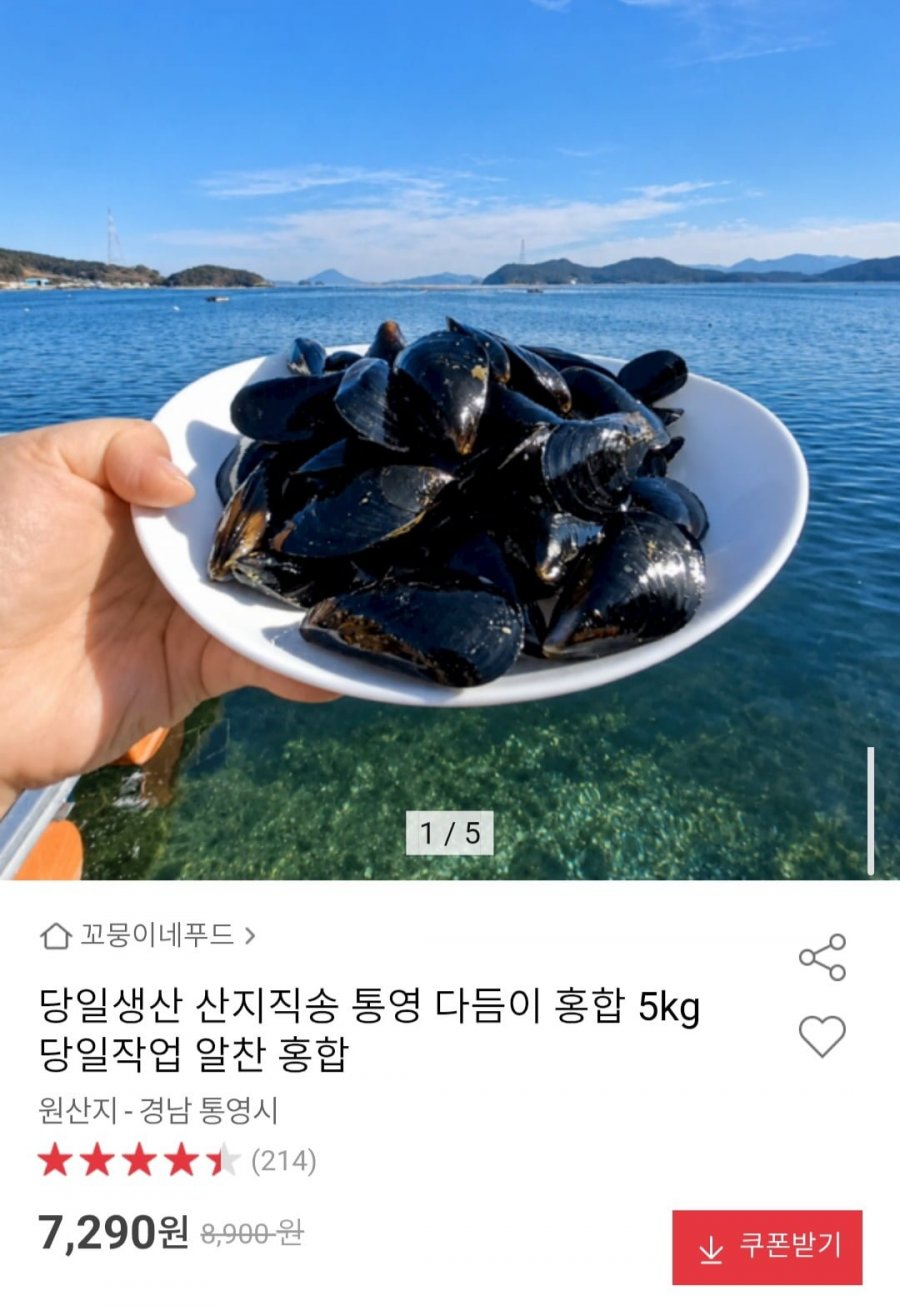 당일생산 산지직송 통영 다듬이 홍합 5kg (7,290원/무배)