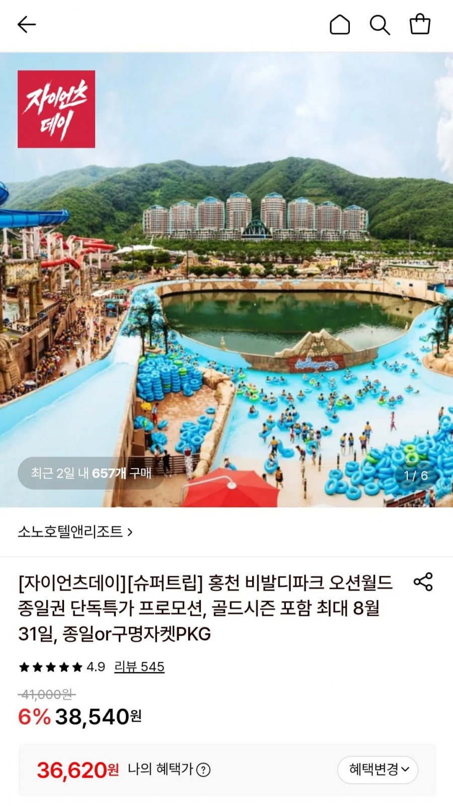 홍천 비발디파크 오션월드 하이시즌 종일권 (36,620원/무료)
