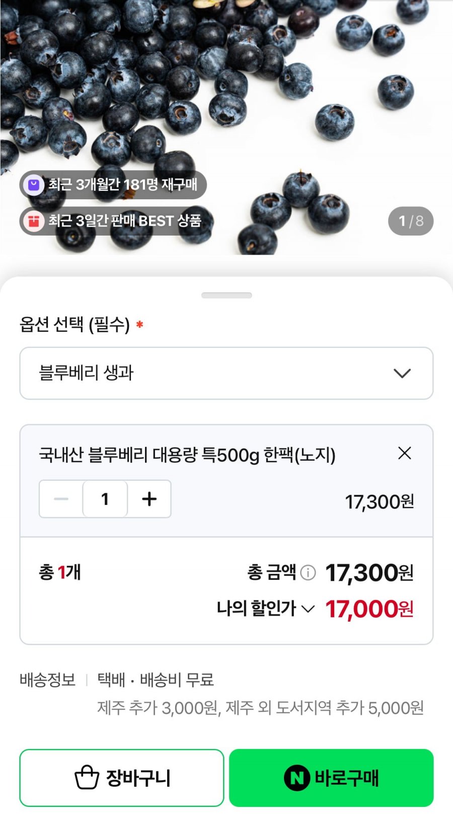 국산 블루베리 생과 특 500g (17,000원/무료)