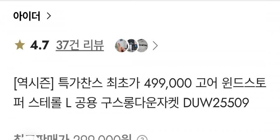 아이더 고어 윈드스토퍼 스테롤 L구스롱다운1