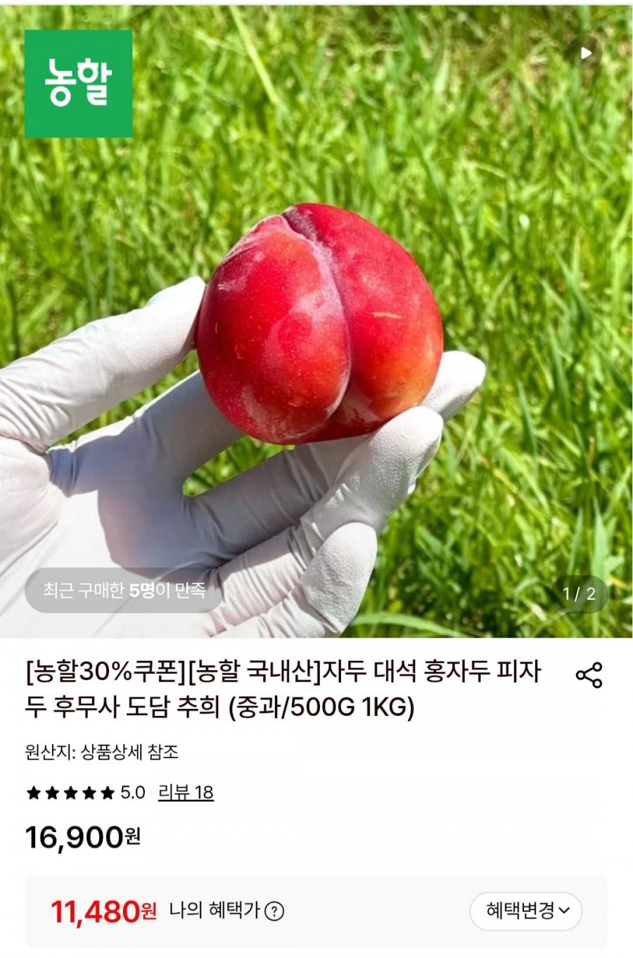 대석 자두 대과 1키로 (11,480원/무료)