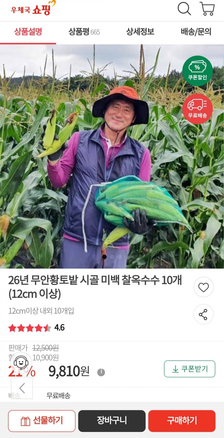 26년 무안황토밭 시골 미백 찰옥수수 10개 (12cm 이상)