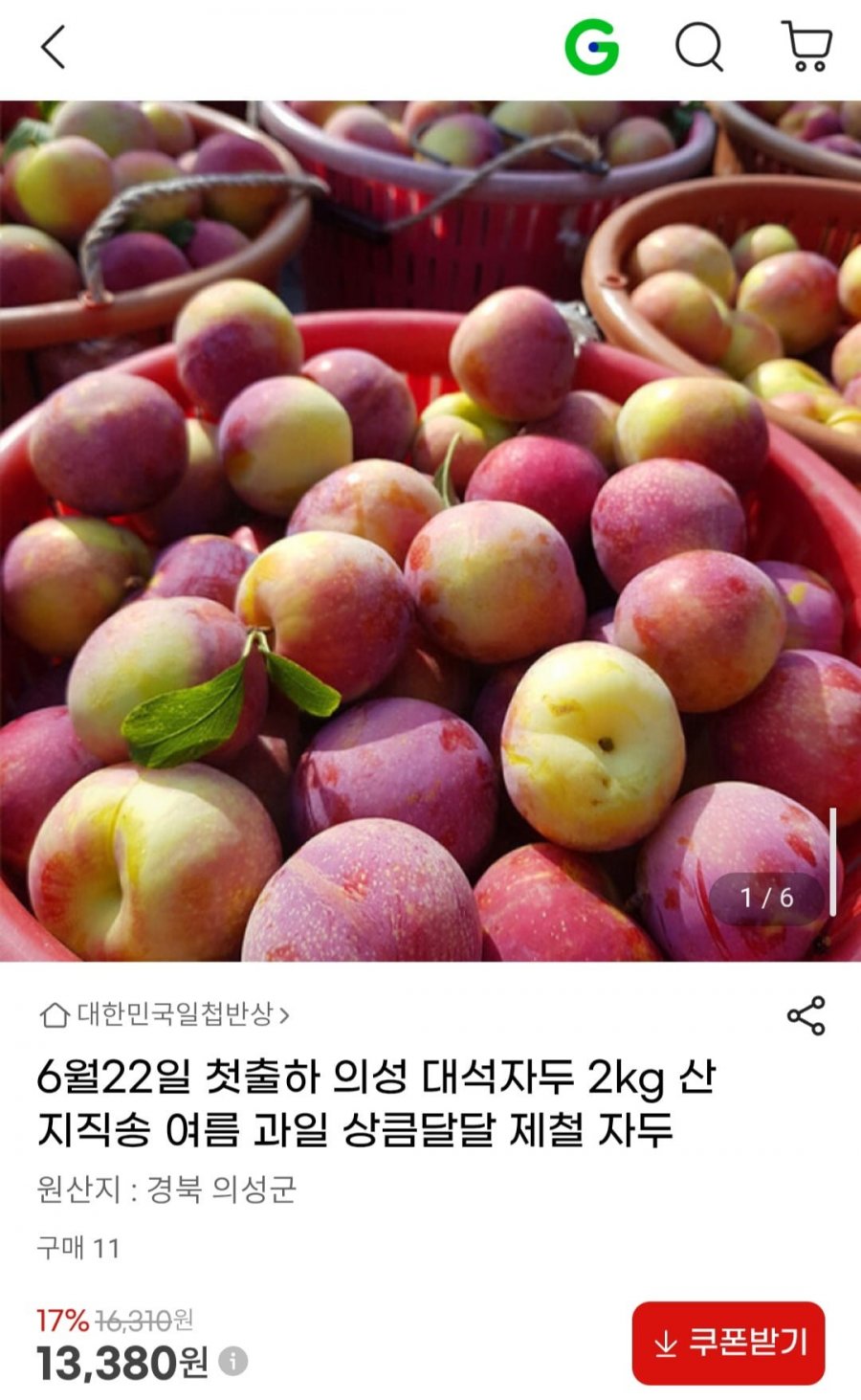 6월22일 첫출하 의성 대석자두 2kg (13,380원/무료)