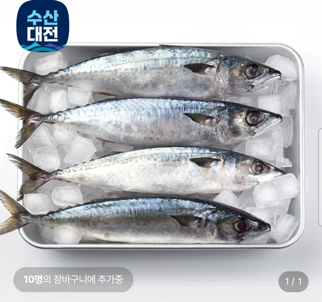 국내산 부산 자반 손질 특대 고등어 10미 3.5kg 내외 (18,760원 / 무배)