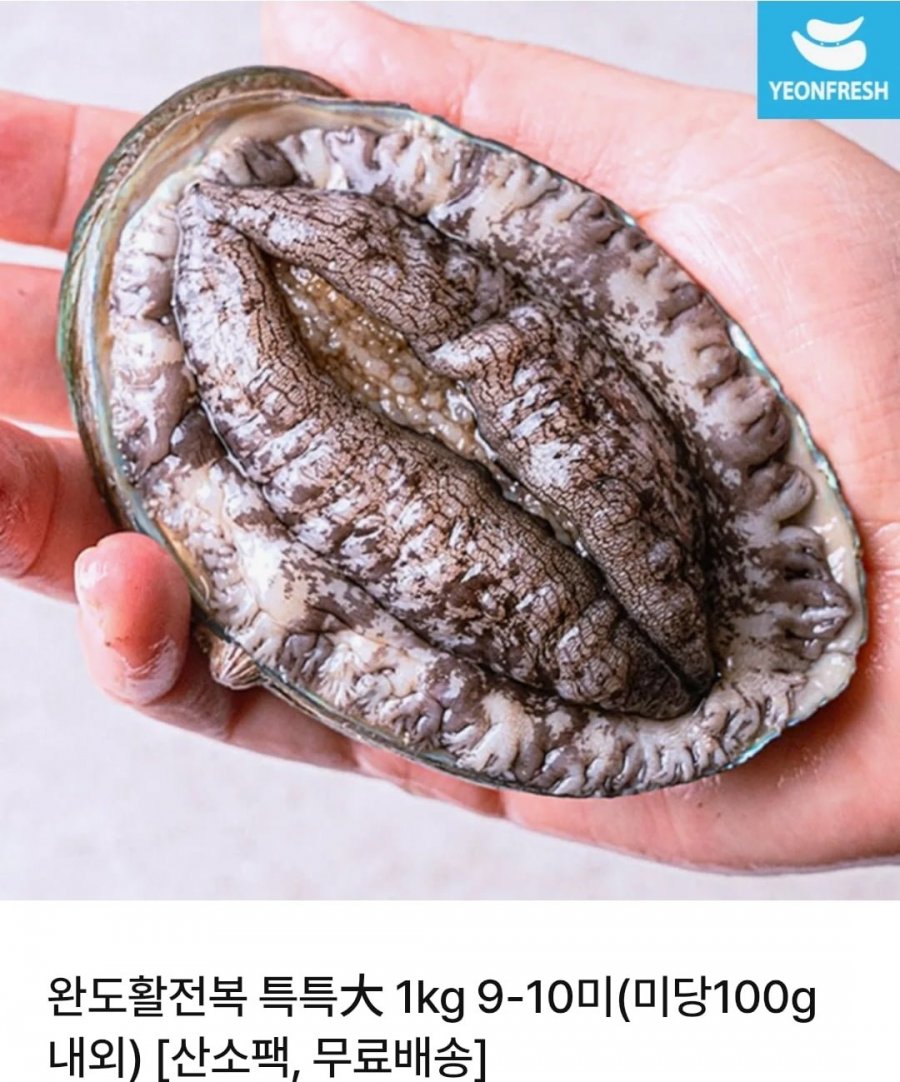 완도 활 전복 1kg 9-10미 (16,900원/무료배송)