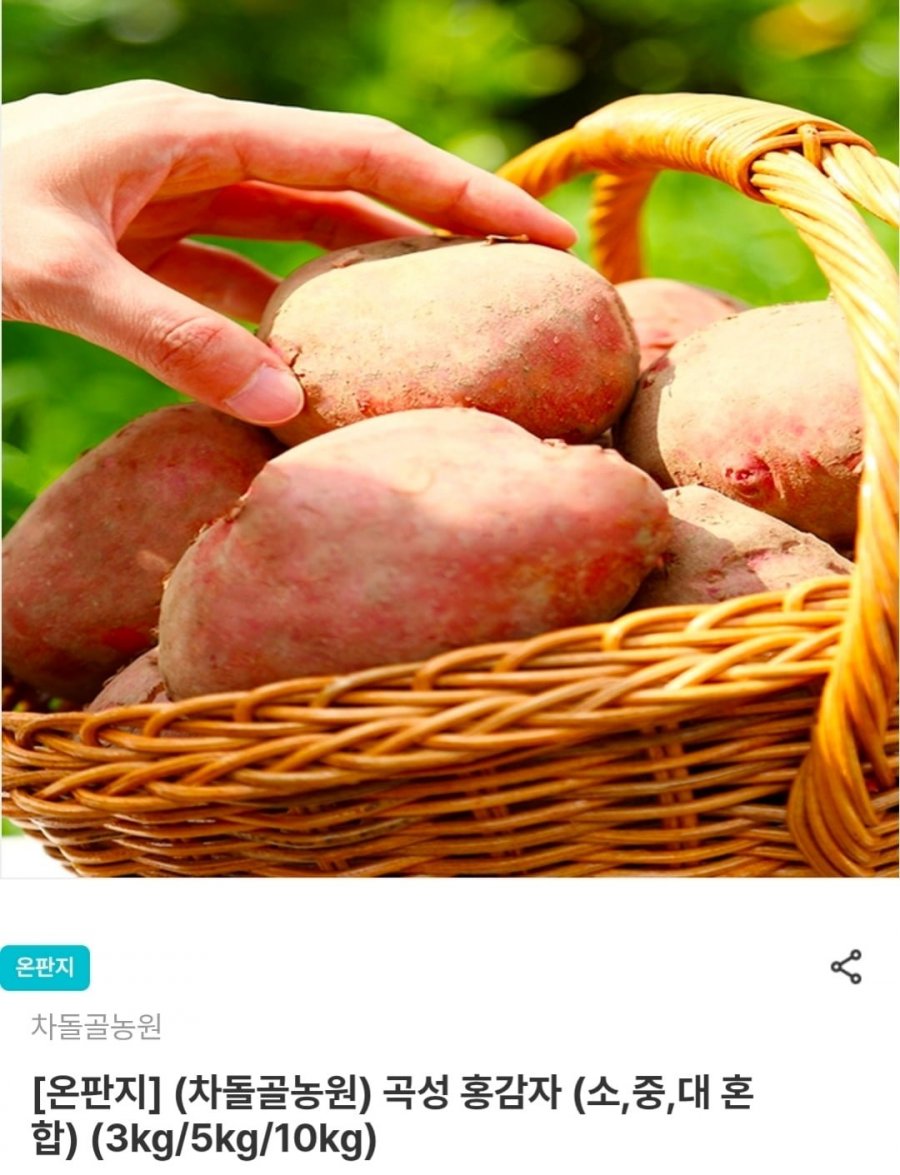 곡성 홍감자 (소,중,대 혼합) 3kg 9,800원