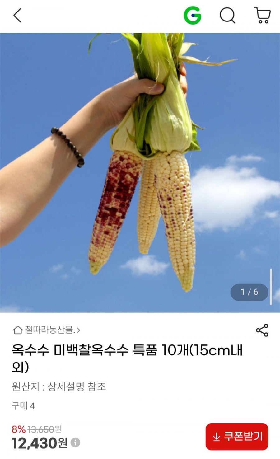 미백 찰 옥수수 특품 10개(15cm내외) (12,430원/무료배송)